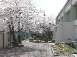第七中学校 トップページ