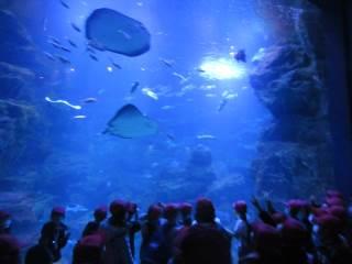 五領小学校 ニュース 学校ブログ