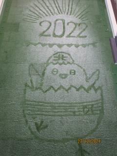 北日吉台小学校 ニュース きたひよこブログ