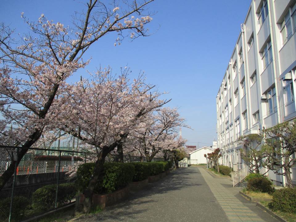 芝生小学校 トップページ