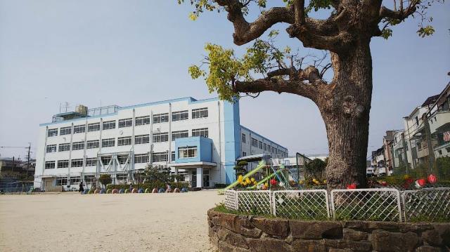 若松小学校 トップページ